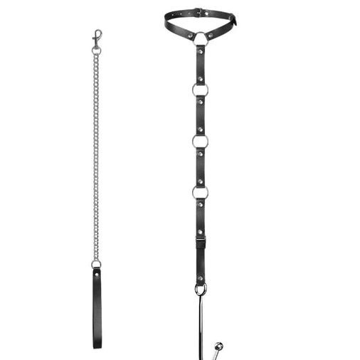 5853 Anal with Leash EverydayUse Kinky and Collar Hook 0820
